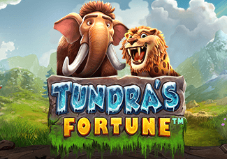 Tundra's Fortune game icon